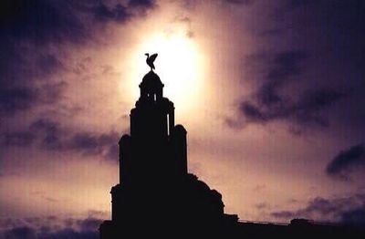 Everything Liverpool