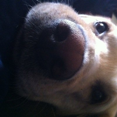 cakyro's profile picture. 