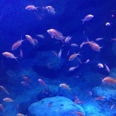 とある野郎のサブ垢ですw