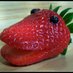 StrawBeiree (@sbeiree) Twitter profile photo