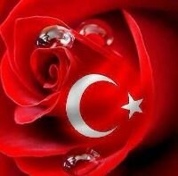 mesutaydin222's profile picture. YAZILICAK BİŞEY YOK !!