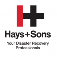 Hays + Sons (@haysandsons) 's Twitter Profile