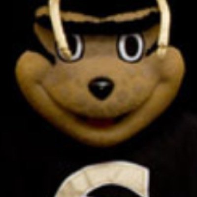 ESUprobs's profile picture. This school has problems. GO HORNETS #stingersup weirdos