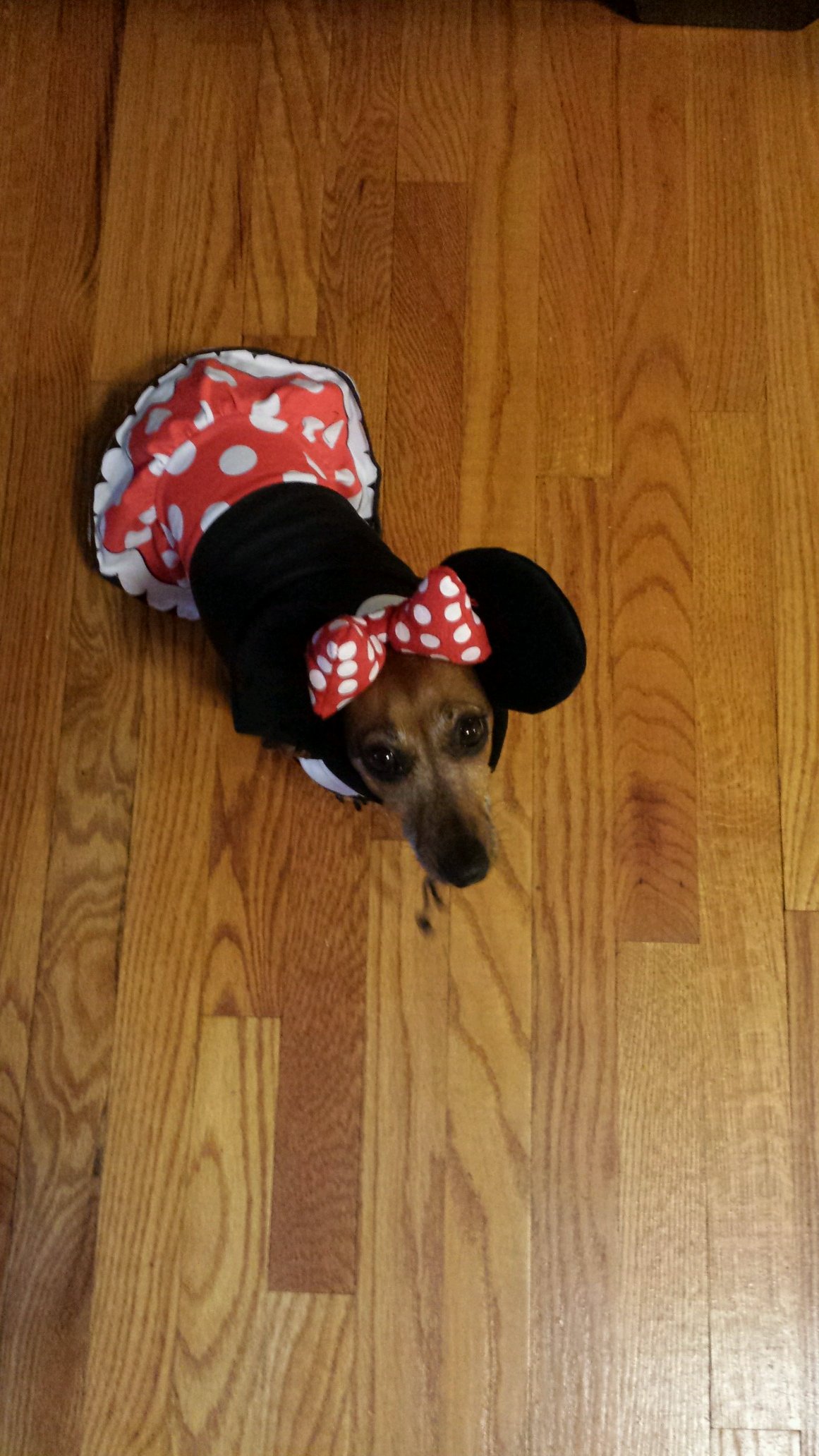 JessicaJ0443's profile picture. 