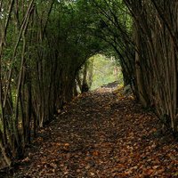 SustainableSheffield (@sustsheff) 's Twitter Profile