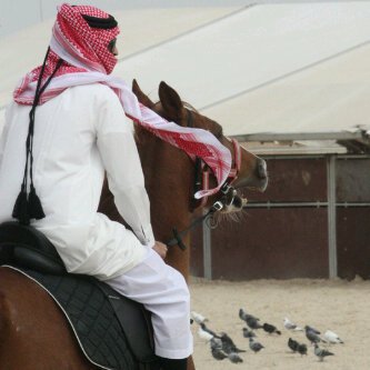 - خواطر & ريمكسآت & آغاني *kw*
- Pin:7F3EE5C2 // Ezel Grp
- iNsta : Aboodd149 ..