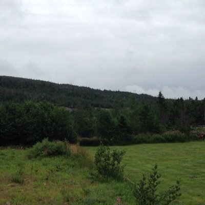 Current weather conditions in Green's Harbour NL.