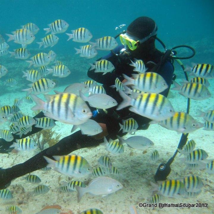 Encouraging filmmaking on Grand Bahama through projects & incentives.