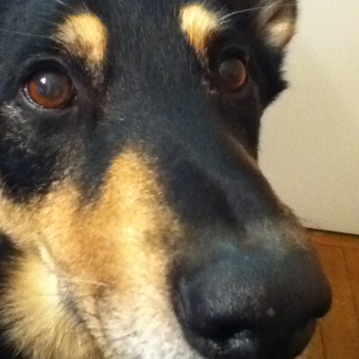 keithforrest1's profile picture. Enjoying daily life in the North Shuswap.