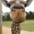 dudeday26's profile image
