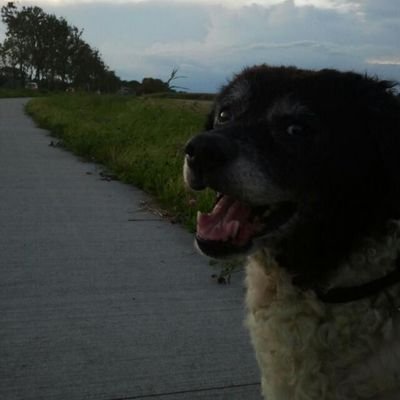 http://t.co/xERUo20OQj | Fietsen | Muziek | #KPN | #Stedum | http://t.co/JbmJScGxJx | EHBO | 112 fotograaf