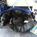 sam stokes - @sambokiller - Twitter