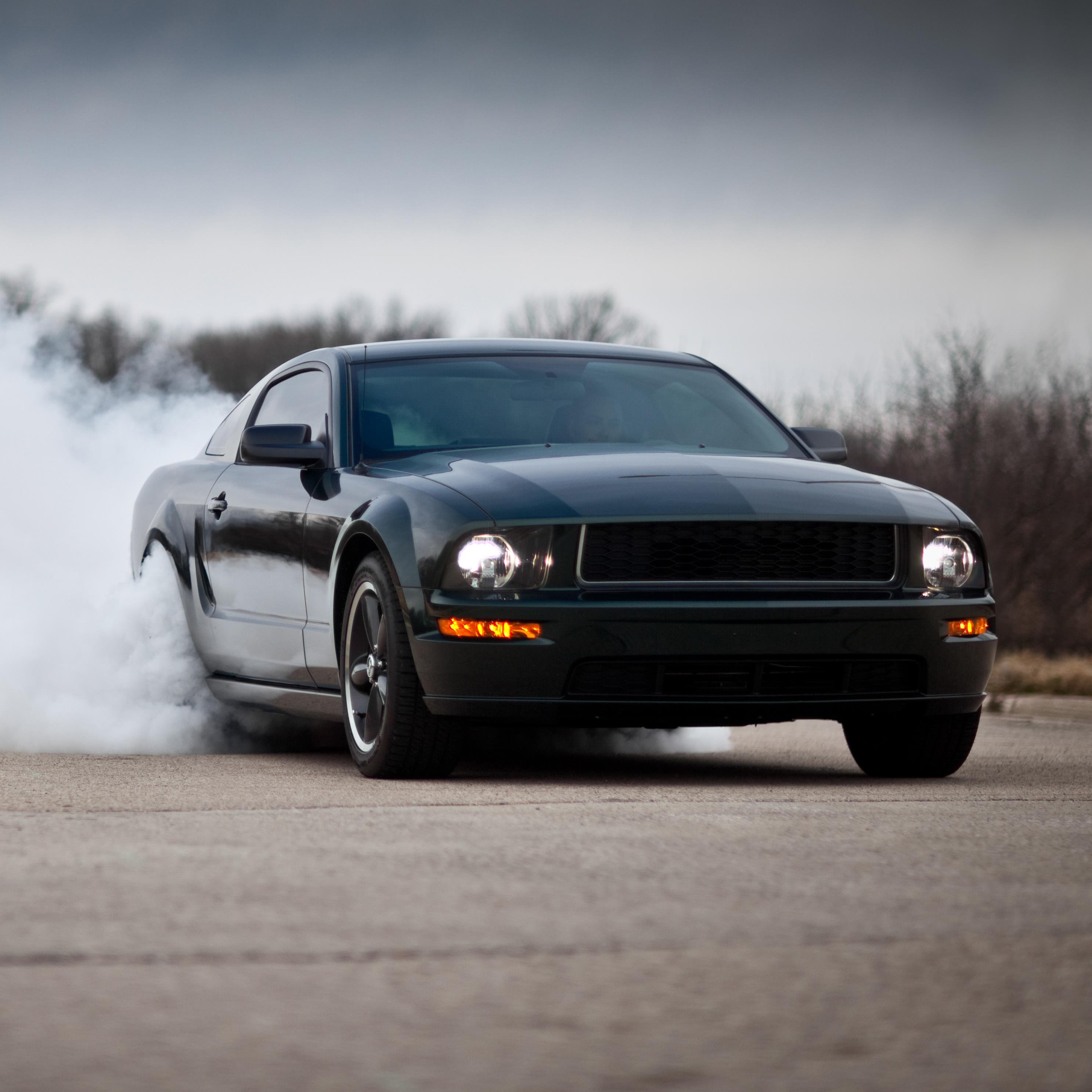 bullitt4273's profile picture. 