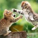 eve - @Eve12steele - Twitter