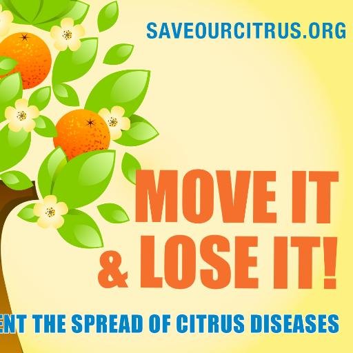 America’s citrus is at risk. Moving citrus plants kills citrus. Don’t risk citrus. Don’t move citrus. Visit http://t.co/OYK1qeFrjW to learn more.