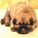 Al Yates - @specialsources - Twitter