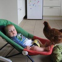 andyrees (@andyrees) 's Twitter Profile