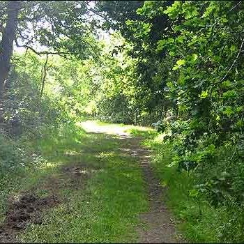 A Great Family Day Out Location