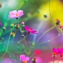 Gabrielle Nolan - @gabynolan1 - Twitter