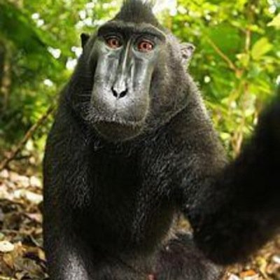 DrTobyValdezJr's profile picture. 