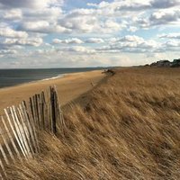 Newburyport (@newburyport) 's Twitter Profile