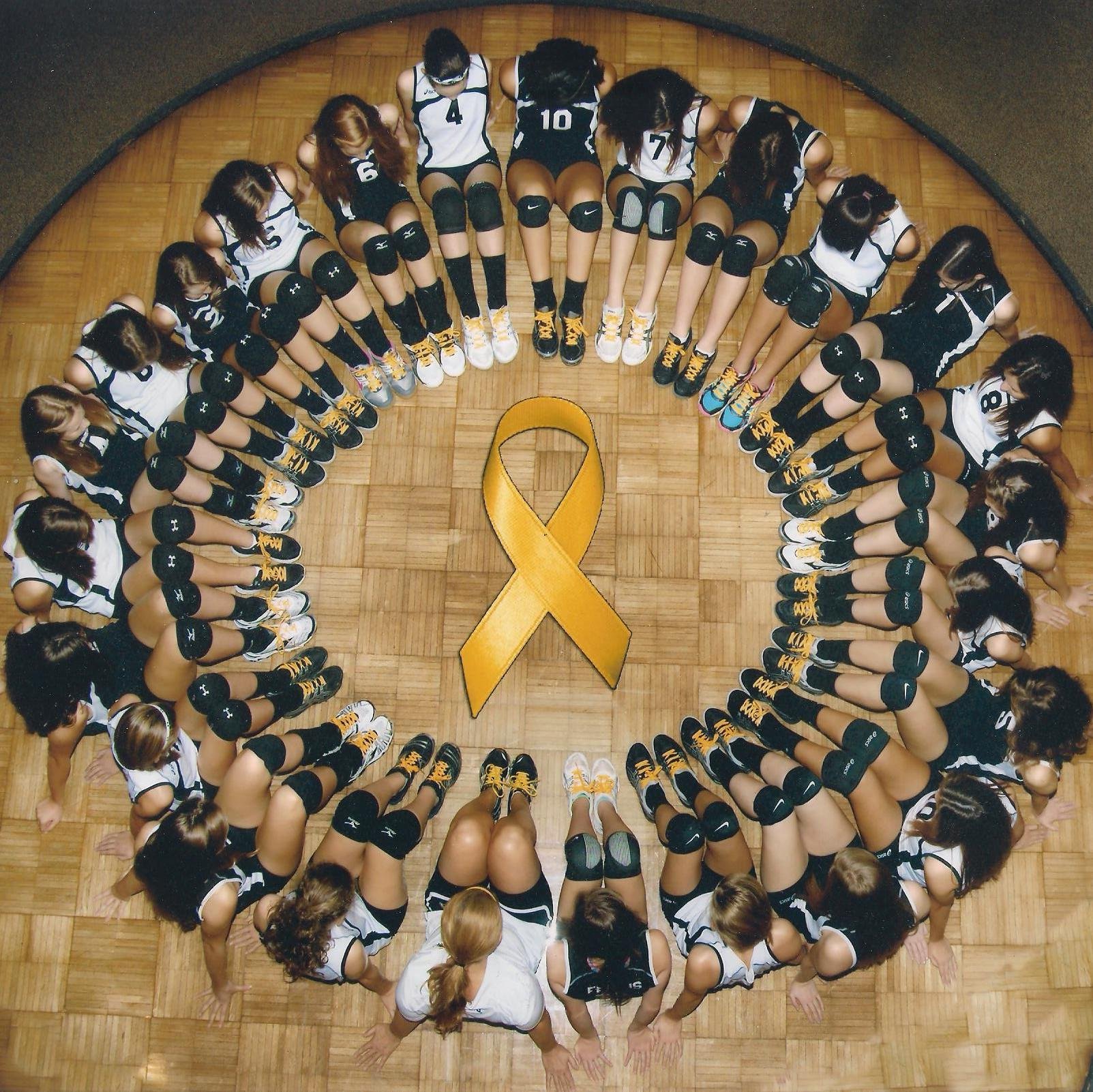 FMSTigersVball's profile picture. 