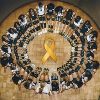 Festus MS Volleyball (@fmstigersvball) 's Twitter Profile