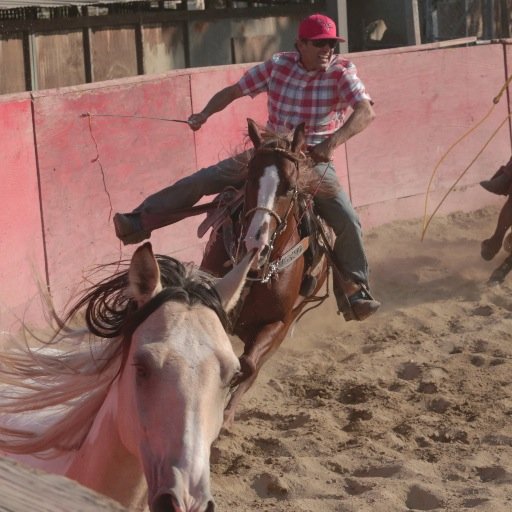 professional cowboy.