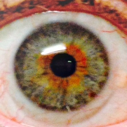 Tyfonmannen's profile picture. Having Fun!