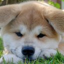 victor constante  - @victor11179007 - Twitter