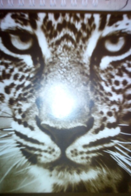 Stevesembi's profile picture. love God.. open-minded , down to earth,trendy,safari-guide expert , sideways tours.