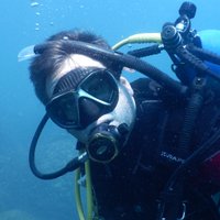 Nandox Diver (@nandoxdiver) 's Twitter Profile
