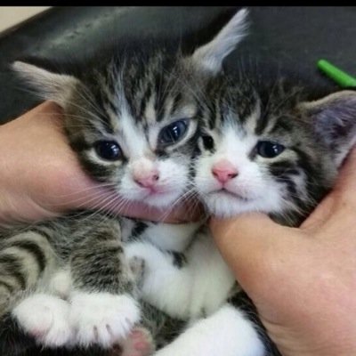 AnikaBrger's profile picture. 