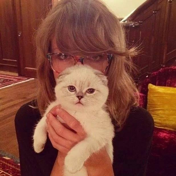 Taylor Swift..Swiftie.Problem?