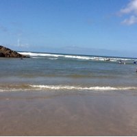 Heidi Williamson (@hmw769) 's Twitter Profile