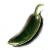 Jalapeno Drums (@jalapenodrums) 's Twitter Profile