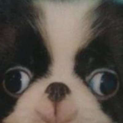 follow @supinosa & @jackspipe they just gave you a free follow! if you dont follow them i unfollow!