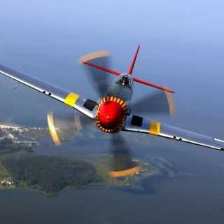 velocidad y altura conservan la dentadura,amante de los aviones, los botes y el mar
