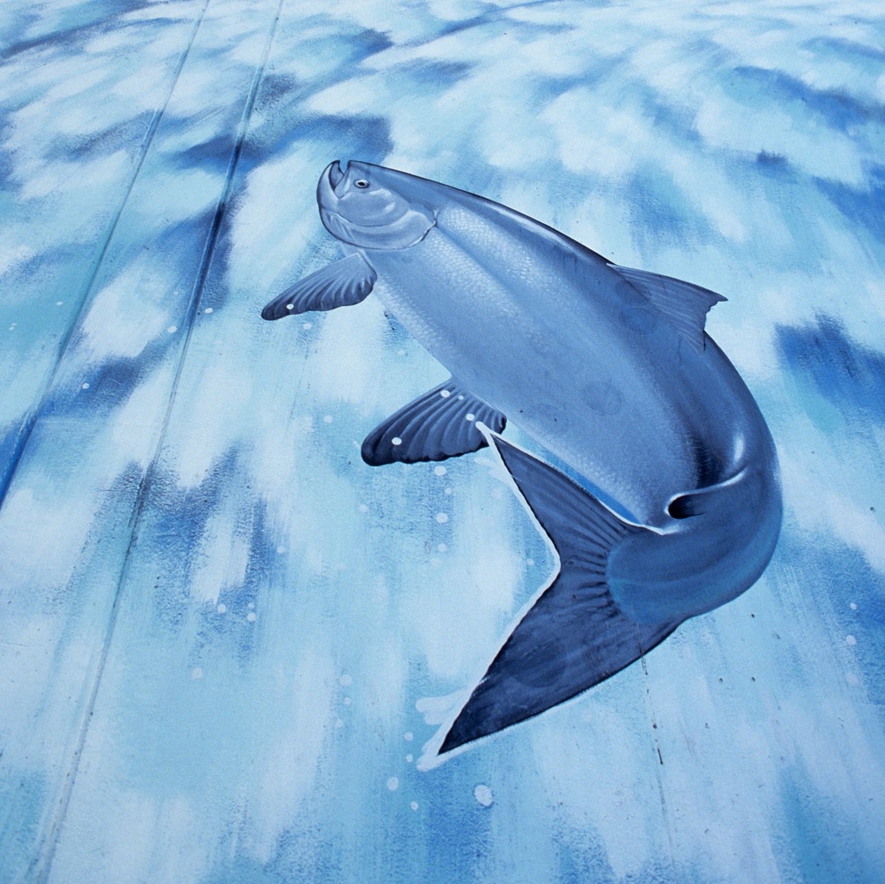 ViaBallard's profile picture. News, Happenings, Food, Fun and Real Estate from the Ballard neighborhood of Seattle, Washington