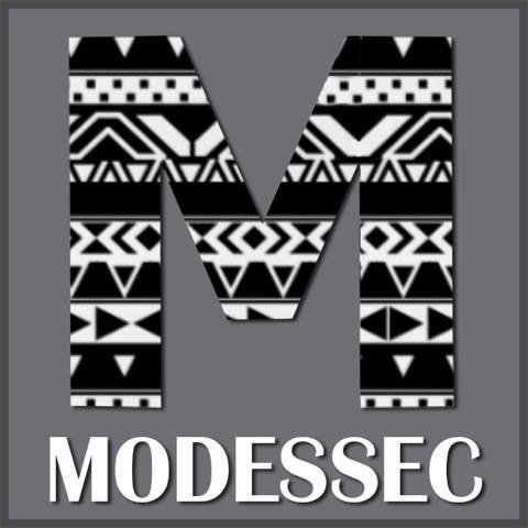 MODESSEC, l'asso formée de jeunes étudiants passionnés, dynamiques et ambitieux qui veulent promouvoir la mode sur leur campus..et bien au-delà !