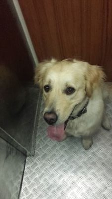 jorlupe1's profile picture. Emprendedor interesado por la logistica y el ecommerce