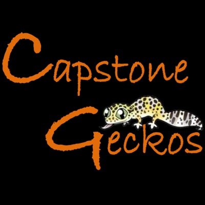 Quality, selective bred, Leopard Geckos capstonegeckos@gmail.com
