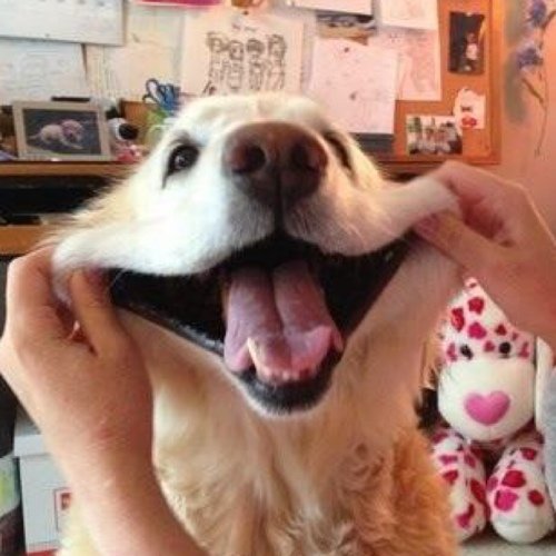 MyPodMT's profile picture. 