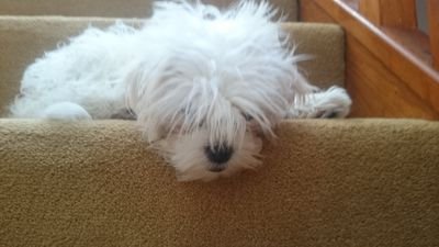 hepworta's profile picture. 