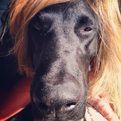 DustySkahill Profile Picture