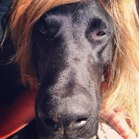 Dusty (@dustyskahill) 's Twitter Profile