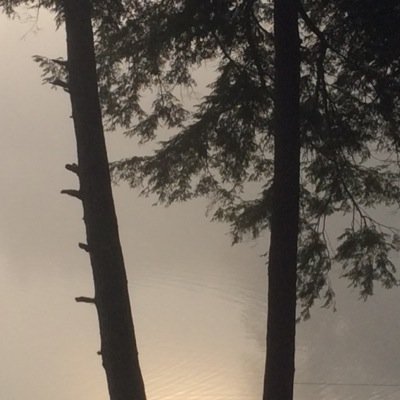 teresalearning's profile picture. 