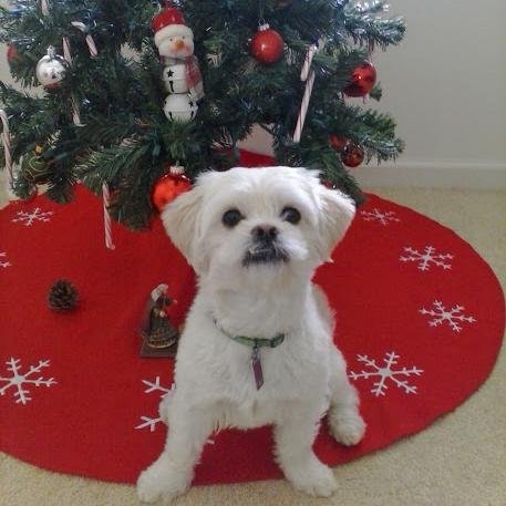 danielleanette5's profile picture. 