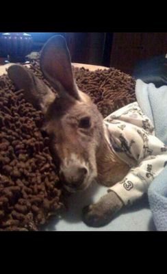 SiCopain's profile picture. William / 21 ans