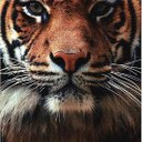 Jade Cunningham - @jadecunnngham - Twitter